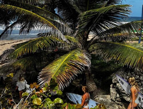 Girls Trip: Encinitas Boardriders Club Takes on BTMI Barbados Surf Pro